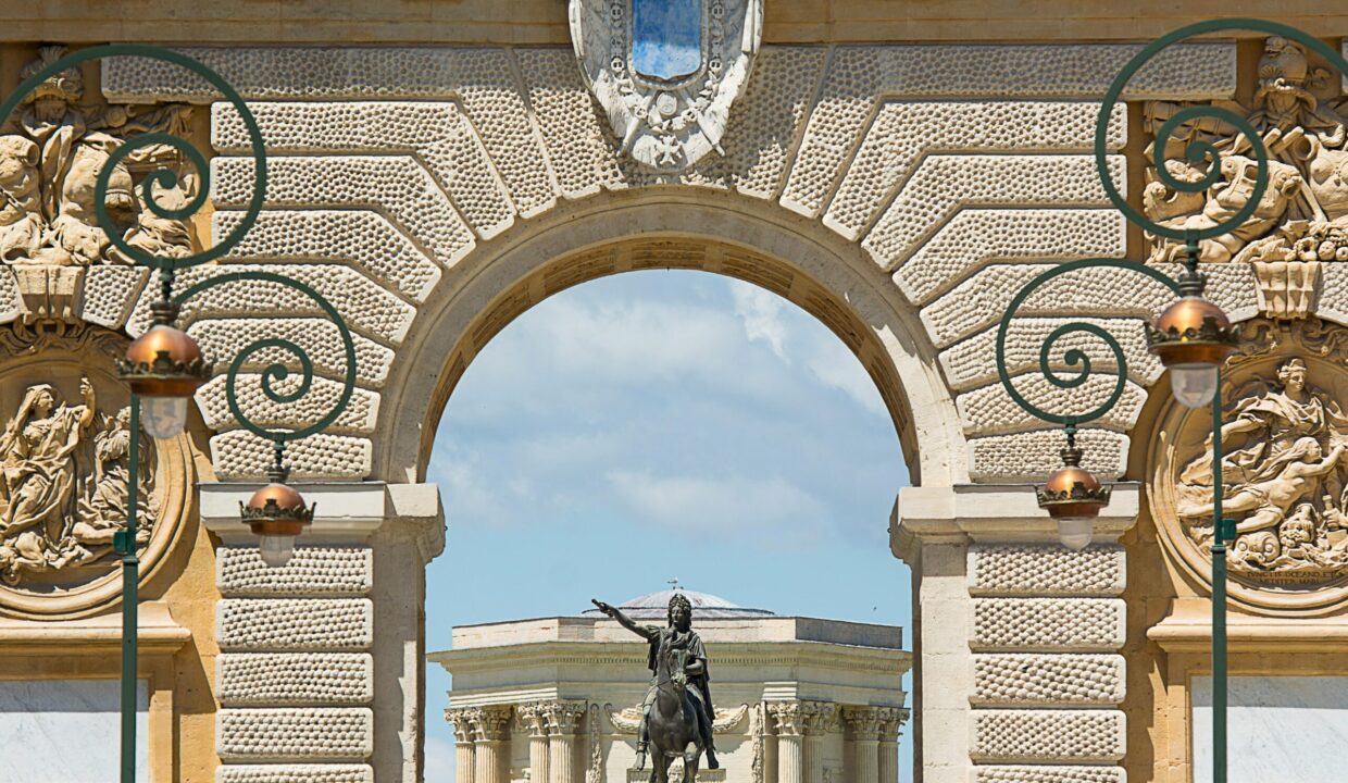 gestion de crise montpellier