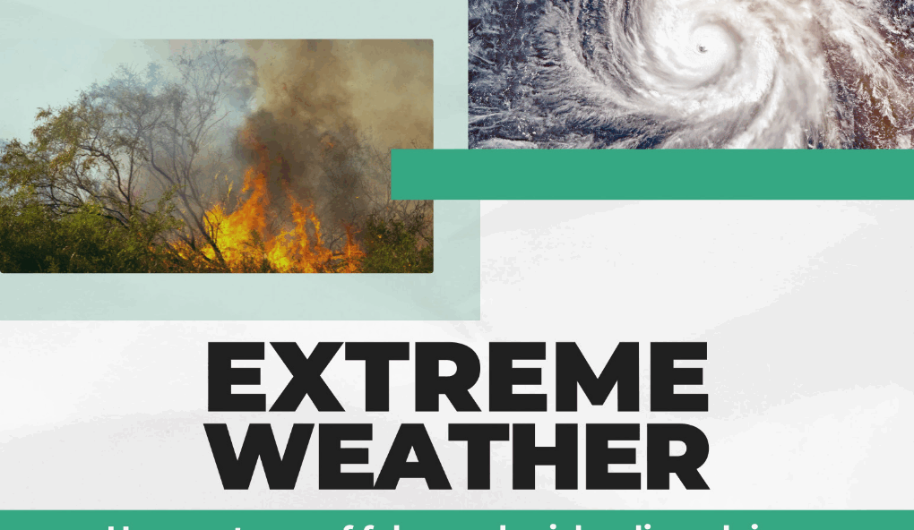 désinformation et catastrophe